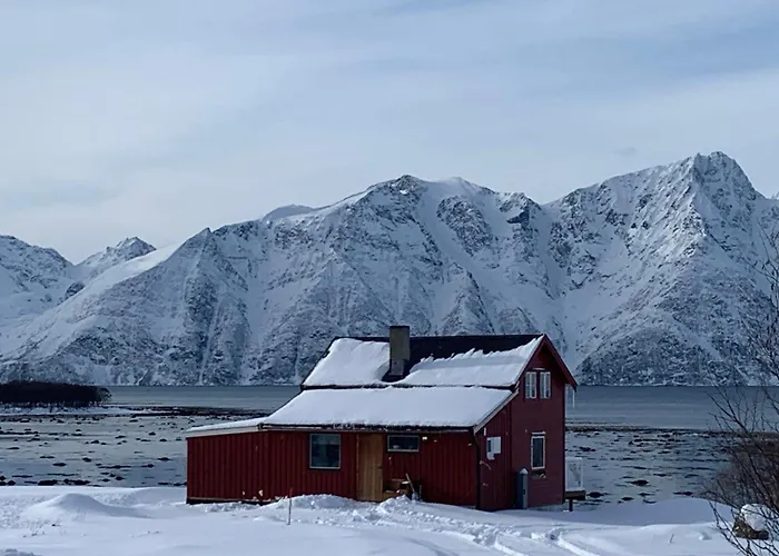 Lyngen Biarnes- Nordreisa