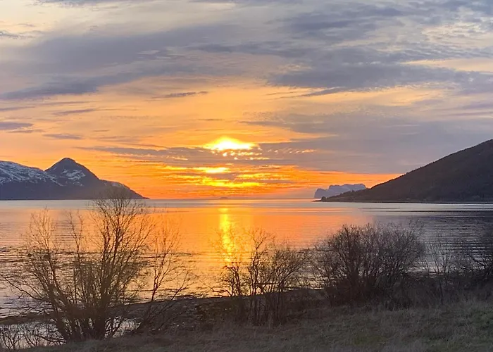 Lyngen Biarnes- Nordreisa