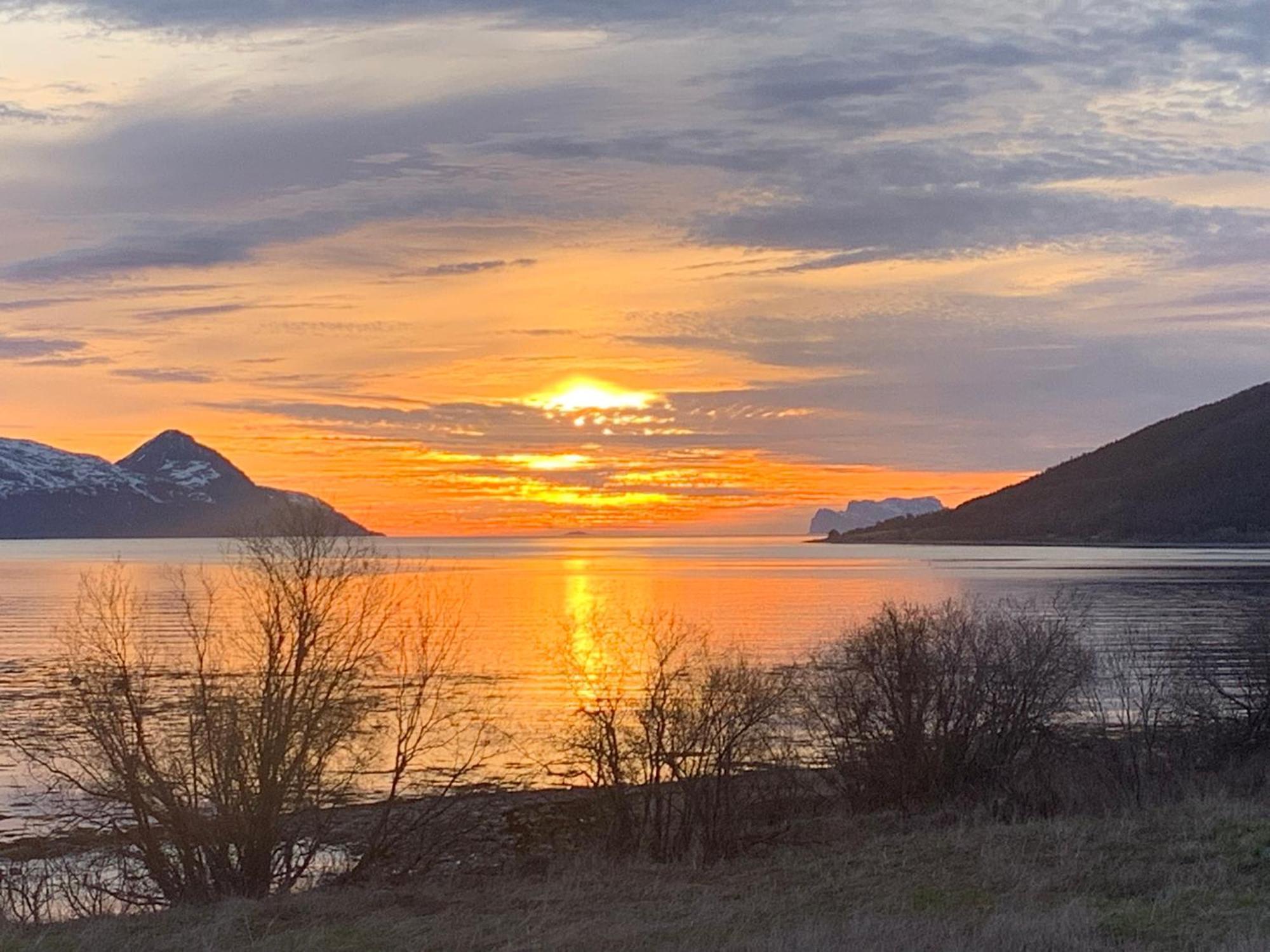 Lyngen Biarnes- Nordreisa *